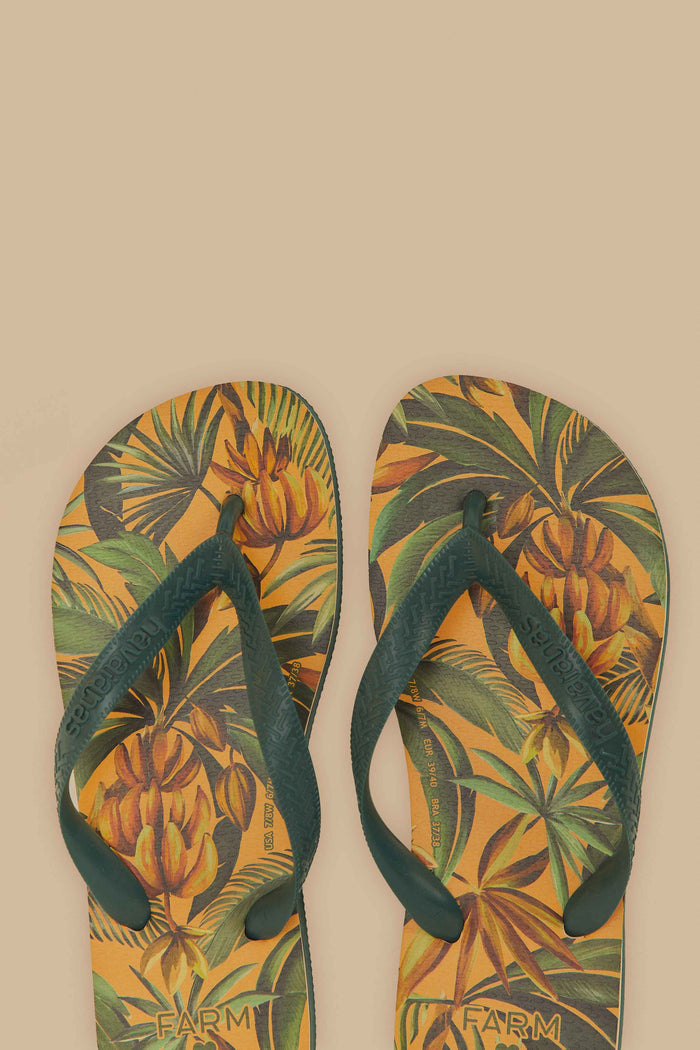 Bananart Havaianas